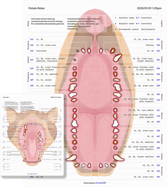 Visual dental charts